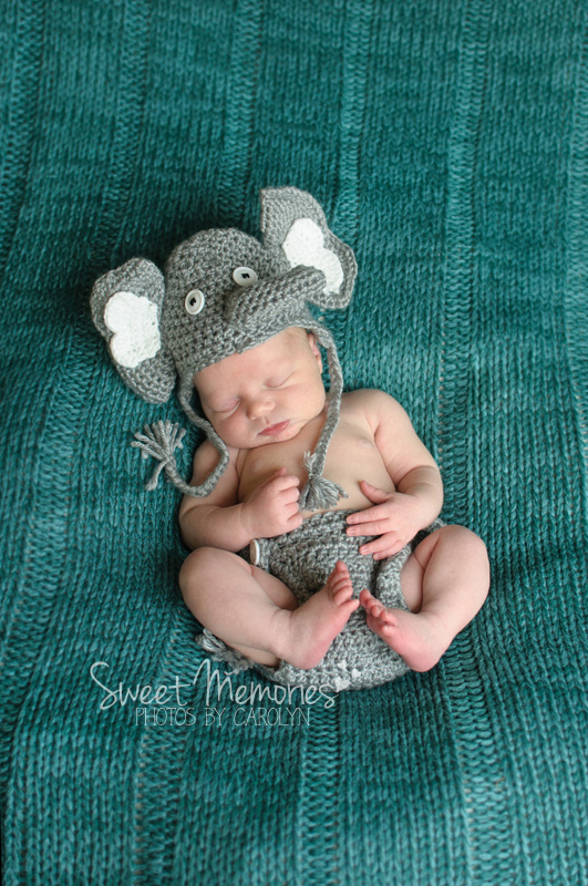 Newborn Baby Photography with elephant hat