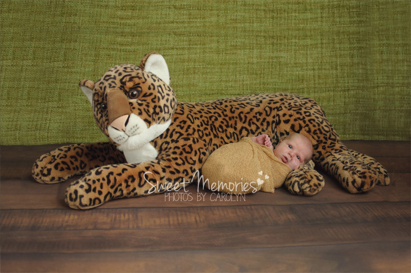 Newborn Baby Photography with stuffed animal