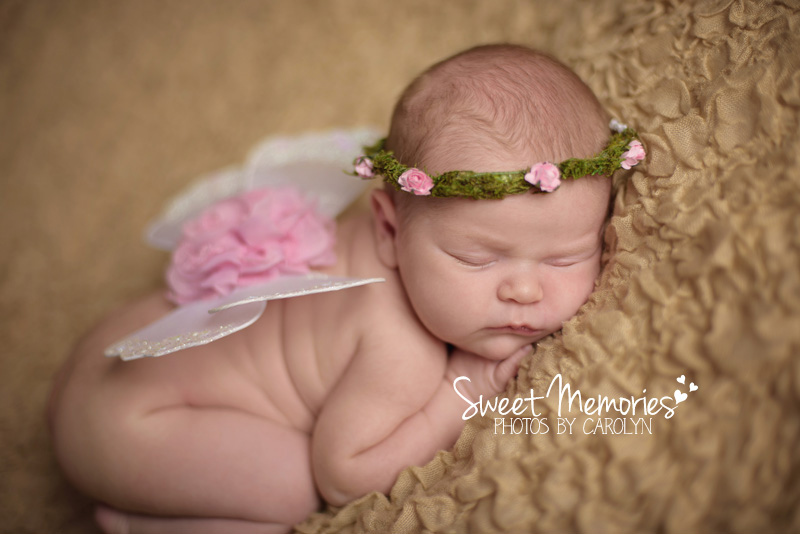 Bucks County Doylestown PA Newborn Photographer | newborn butterfly 