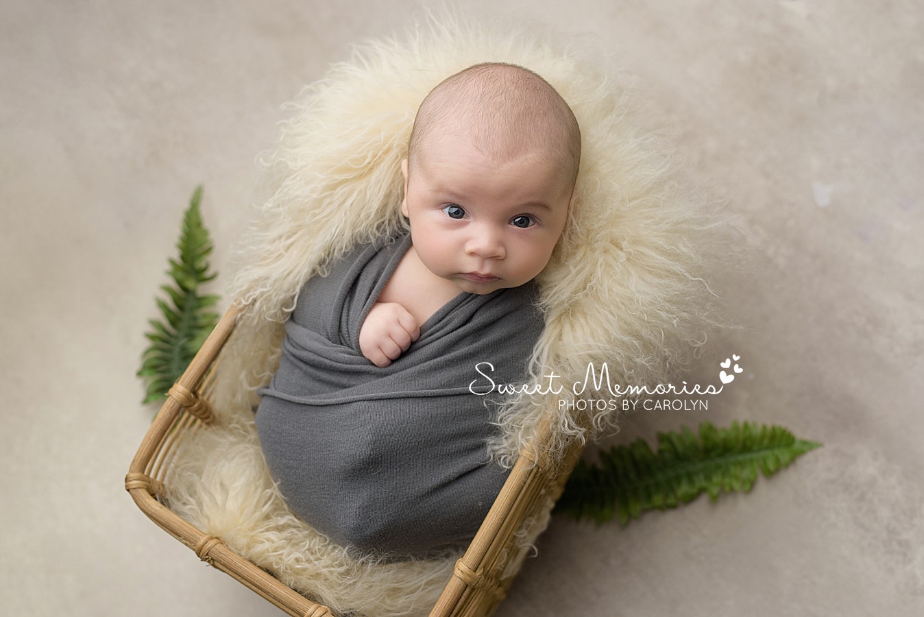 Awake Newborn Boy Baby Photography in basket | Austin Texas Baby Photography | Sweet Memories Photos by Carolyn