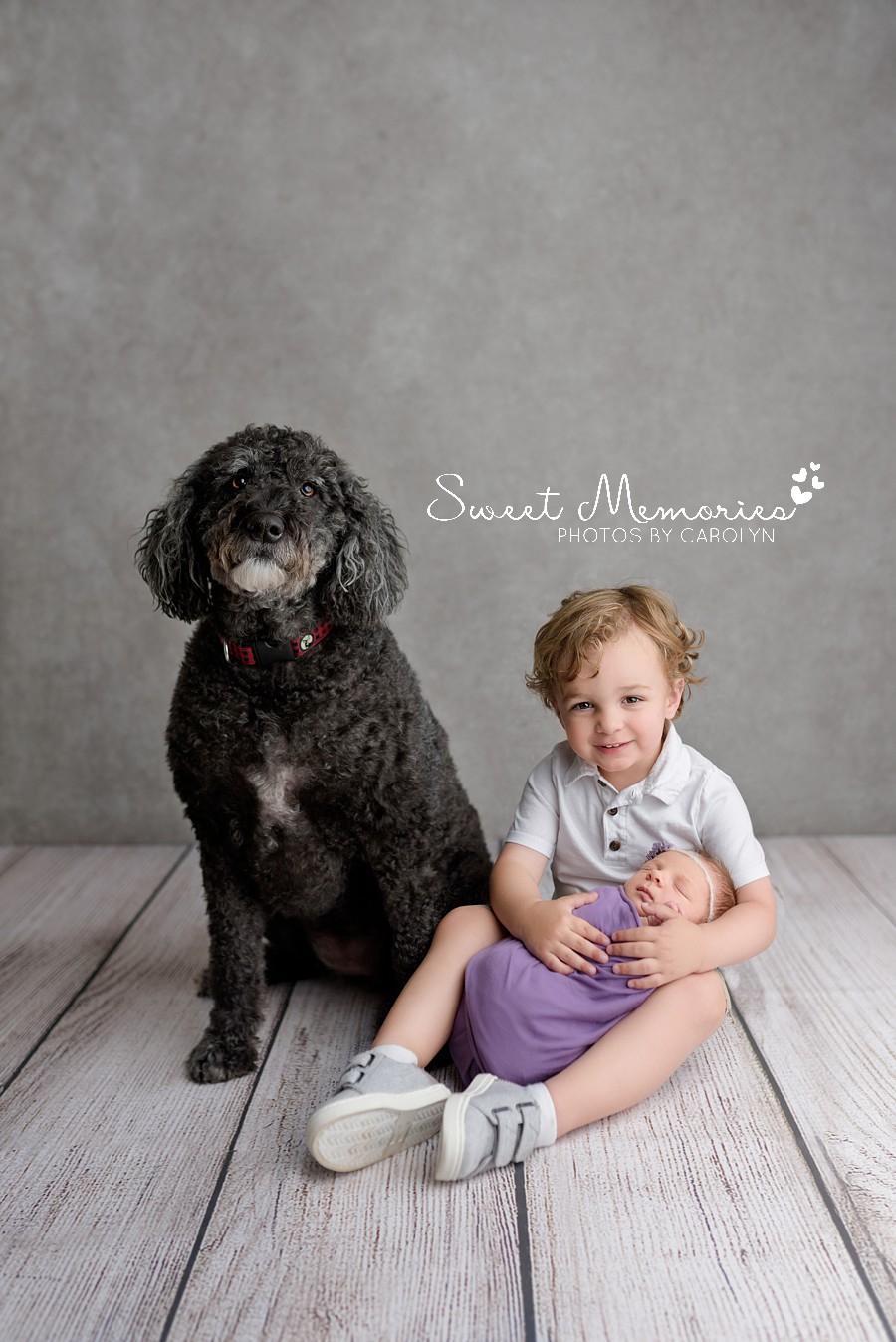 Newborn girl purple butterfly floral theme session with sibling and dog | Austin newborn with family photography | Sweet Memories Photos by Carolyn