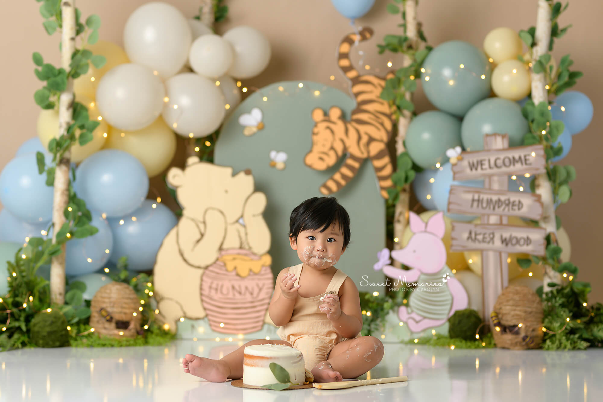 winnie the pooh cake smash baby boy